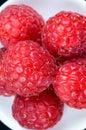 Fresh red raspberries, still life, closeup and detail view Royalty Free Stock Photo