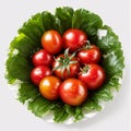 fresh red ripe juicy tomatoes branch on the background.