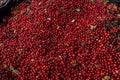 Fresh red ripe lingonberries in plastic boxes on a farmer's market retail display. Close-up