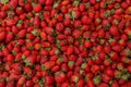 Fresh red ripe organic strawberry on the farmers market. Close-up berry background. Healthy vegan food Royalty Free Stock Photo