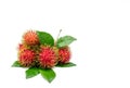 Fresh red ripe rambutan Nephelium lappaceum with leaves Royalty Free Stock Photo