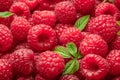 Fresh red ripe raspberries. Raspberries background Royalty Free Stock Photo