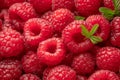 Fresh red ripe raspberries. Raspberries background Royalty Free Stock Photo