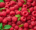 Fresh red ripe raspberries. Raspberries background Royalty Free Stock Photo