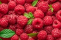 Fresh red ripe raspberries. Raspberries background Royalty Free Stock Photo