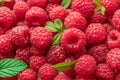 Fresh red ripe raspberries. Raspberries background Royalty Free Stock Photo