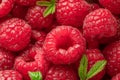 Fresh red ripe raspberries. Raspberries background Royalty Free Stock Photo