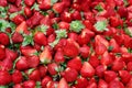 Fresh Red Ripe Strawberries Royalty Free Stock Photo