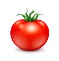 Fresh red ripe tomato.