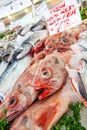 Fresh Red Rock Fish and Salmon for Sale in Fishmongers Royalty Free Stock Photo
