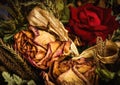 Fresh red rose in dried roses bouguet. Royalty Free Stock Photo