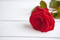 Fresh red rose flower on the white wooden table Royalty Free Stock Photo