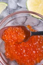 Fresh red salmon caviar with spoon and lime around ice. macro shot. Protein luxury delicacy healthy food. flat lay