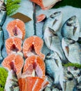 Fresh red salmon fish and dorado fish on ice, top view Royalty Free Stock Photo