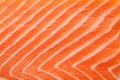 Fresh red salmon texture