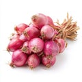 Fresh red shallots bundle with roots and dry stems on white Royalty Free Stock Photo