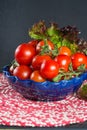 Fresh red small tomatoes and green leaf salad in blue bowl ready Royalty Free Stock Photo