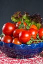 Fresh red small tomatoes and green leaf salad in blue bowl ready Royalty Free Stock Photo