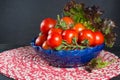 Fresh red small tomatoes and green leaf salad in blue bowl ready Royalty Free Stock Photo