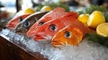 Fresh red snapper, grouper, and lemon slices on a bed of ice Royalty Free Stock Photo