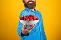 Fresh red sour cherries harvest in plate. seasonal cherry harvest in industrial orchard. Full pot of cherries. man Royalty Free Stock Photo