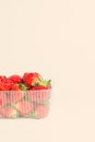 Fresh red strawberries in plastic Royalty Free Stock Photo