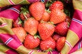 Fresh red strawberries Royalty Free Stock Photo