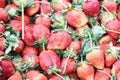 Fresh Red Strawberry Background Royalty Free Stock Photo