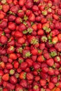 Fresh red strawberry background Royalty Free Stock Photo