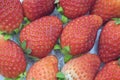 Fresh red strawberry background