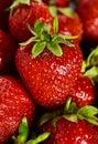 Fresh red strawberry background Royalty Free Stock Photo
