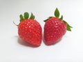 Fresh red strawberry fruits Royalty Free Stock Photo