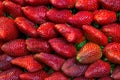 Fresh red strawberry fruits with green leaves Royalty Free Stock Photo