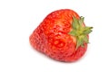 Fresh Red Strawberry Isolated Royalty Free Stock Photo
