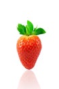 Fresh red strawberry isolated on a white background Royalty Free Stock Photo