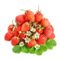 Fresh red strawberry stack on a white background