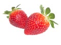 Fresh red strawberrys on white background Royalty Free Stock Photo