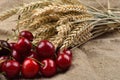 Fresh red and tasty cherries on jude background, with bunch of w Royalty Free Stock Photo