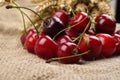 Fresh red and tasty cherries on jude background, with bunch of w Royalty Free Stock Photo