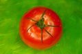 Fresh red tomato Royalty Free Stock Photo