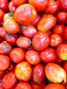 fresh red tomato Royalty Free Stock Photo