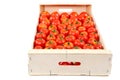 Fresh red tomato in the drops of water in a wooden box. Royalty Free Stock Photo