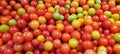 Fresh red tomato food backgrounds concept, fresh vegetables for sale in the market Royalty Free Stock Photo