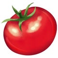 Fresh red tomato isolated on white background Royalty Free Stock Photo