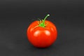 Fresh red tomato Royalty Free Stock Photo