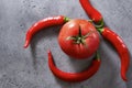 Fresh red tomato, red chili peppers on a grey background top view