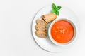 Fresh tomato soup with small bread and basil leaf on a plate with paper textured background Royalty Free Stock Photo