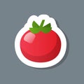 Fresh red tomato sticker tasty vegetable icon healthy food concept