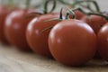 Fresh red tomatoes