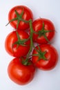 Tomatoes on a branch isolated on a whight background